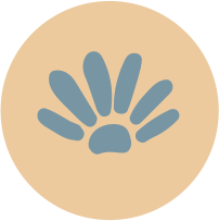 favicon santa rosa1