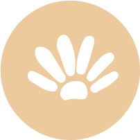 favicon santa rosa2