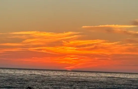 4c332184fe6d48e8ab9d9c72c3ddc7d1 LargeOriginal.jpg