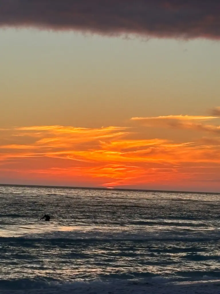 4c332184fe6d48e8ab9d9c72c3ddc7d1 LargeOriginal.jpg