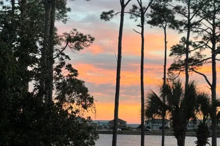 cacbed61698940149099e5134db3e101 LargeOriginal.jpg