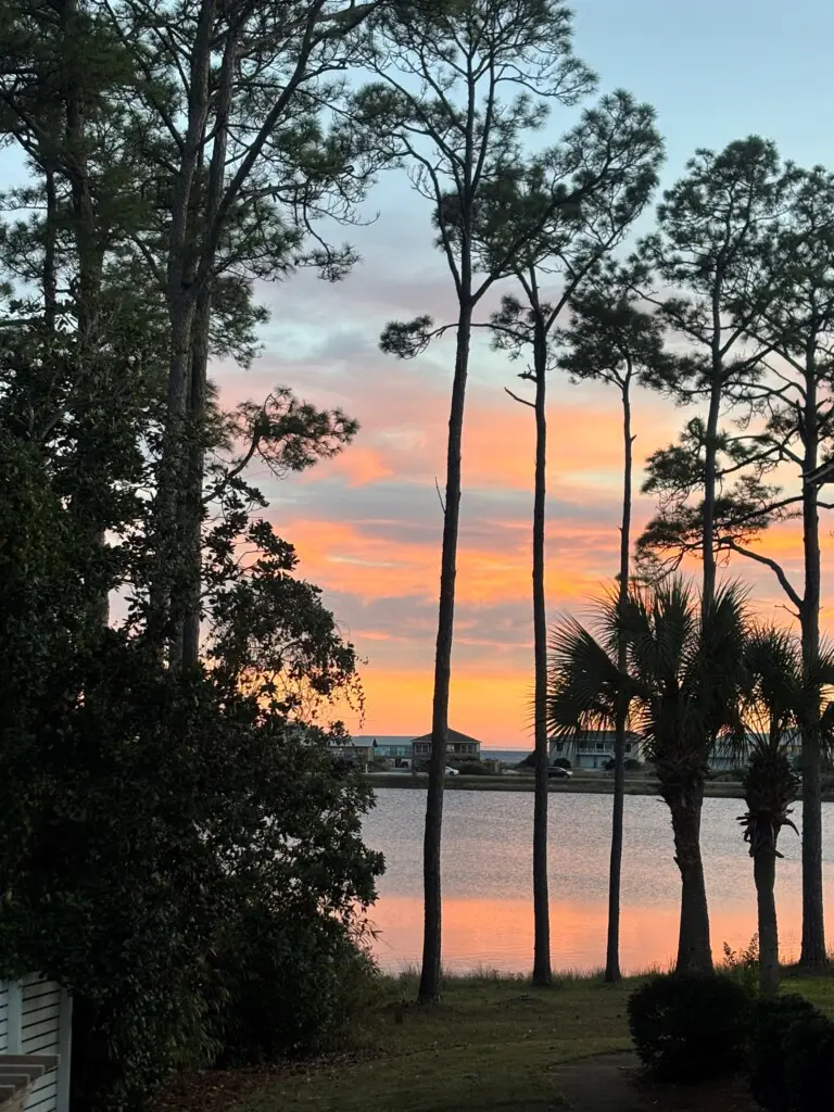 cacbed61698940149099e5134db3e101 LargeOriginal.jpg