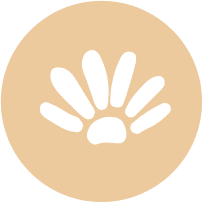 favicon santa rosa2