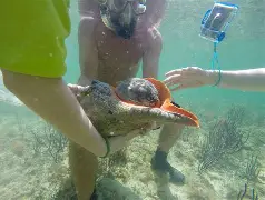 SeaLifeCenter